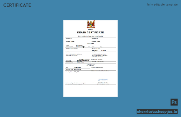 Hawaii-Sterbeurkunde: Beispielansicht in Word und PDF